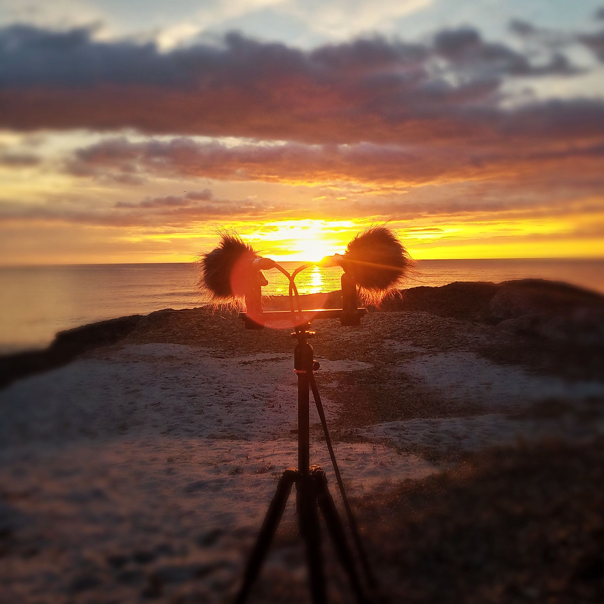 Field Recording