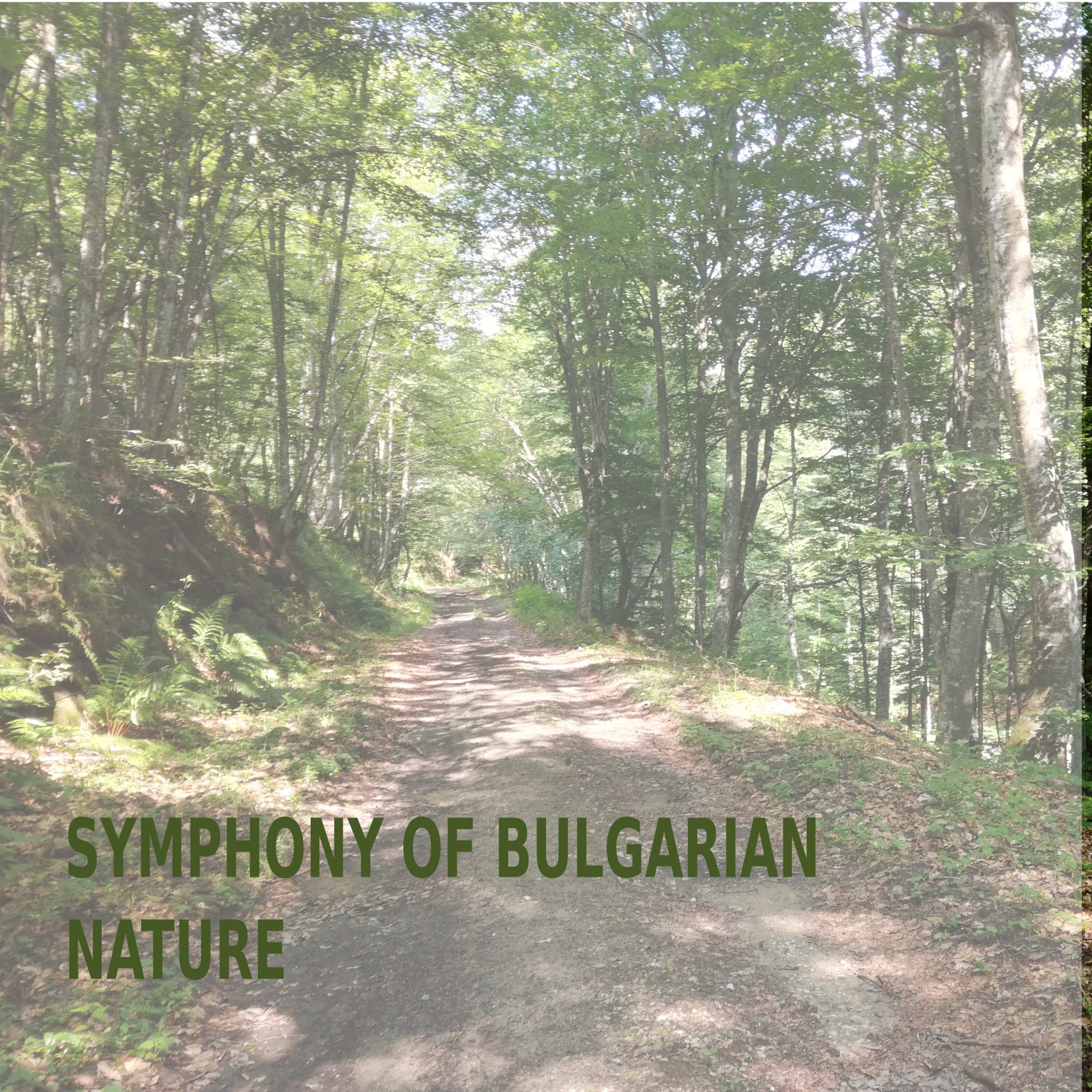 Symphony of Bulgarian Nature Cover Album