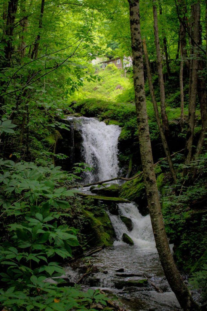 serene forest waterfall in lush greenery